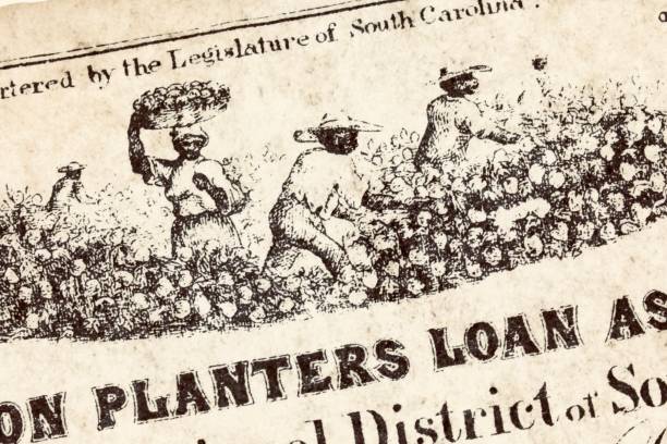 2026 BHM: Secret Black Systems That Kept Us Alive (And Still Do)