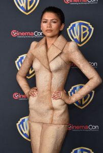 The Best Red Carpet Looks From Zendaya and Law Roach