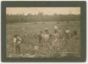 The Origins of the Watermelon Stereotype
