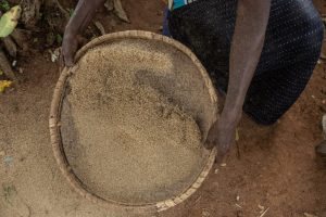 OPINION: Invest In The Women Who Feed Africa