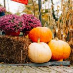15 Free Things to Do in NYC This Fall Without Spending a Dime